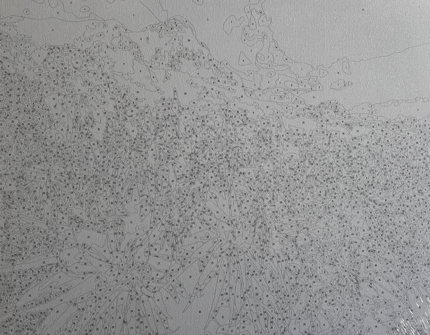 Table Mountain's Aloes