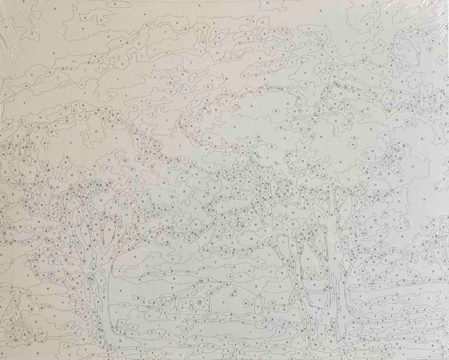 A Cape Cottage in a Landscape with Trees