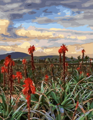 My Beautiful Bonnievale