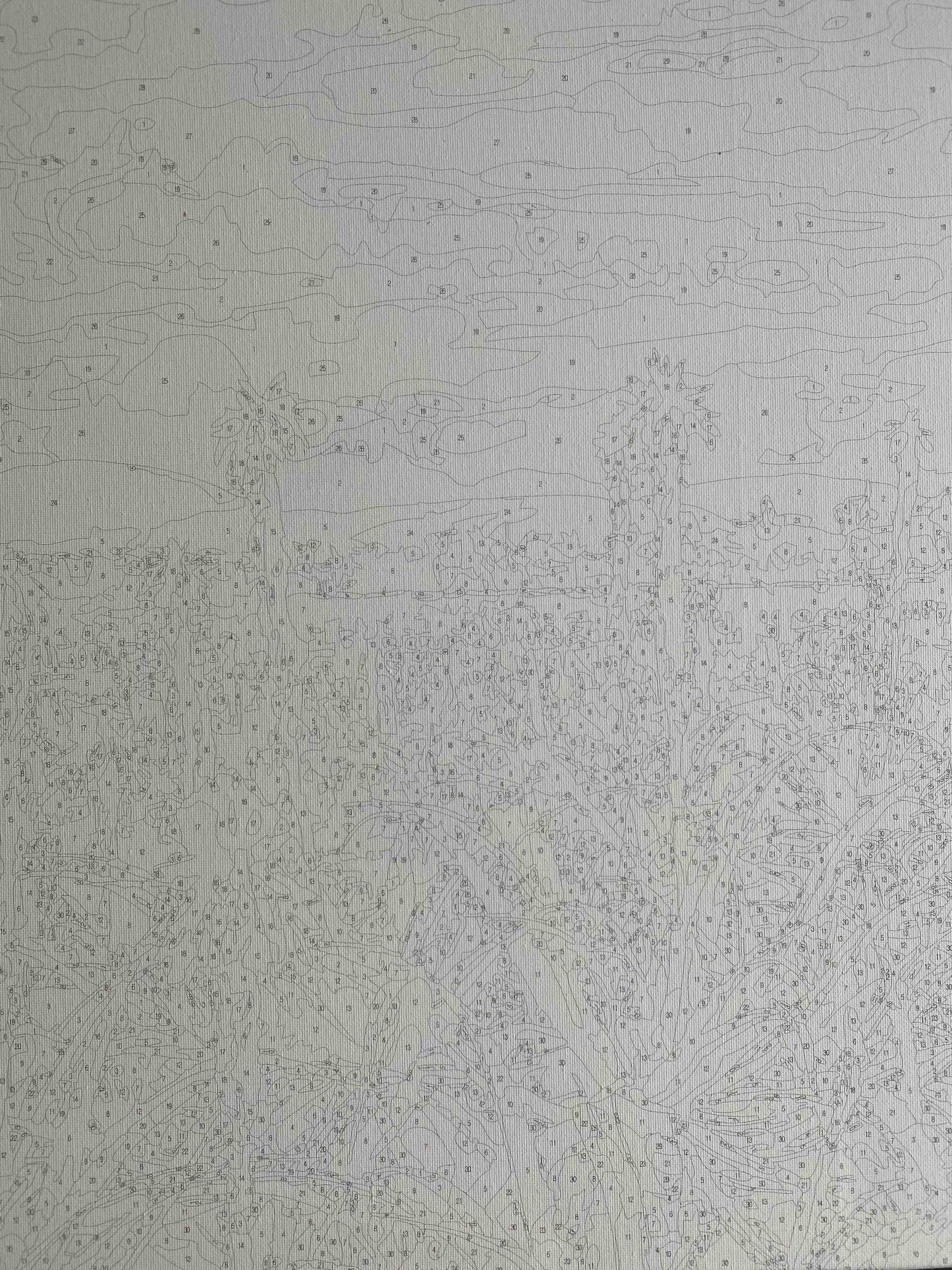 My Beautiful Bonnievale