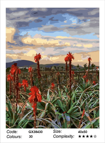 My Beautiful Bonnievale