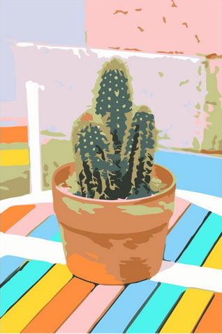Colourful Cactus