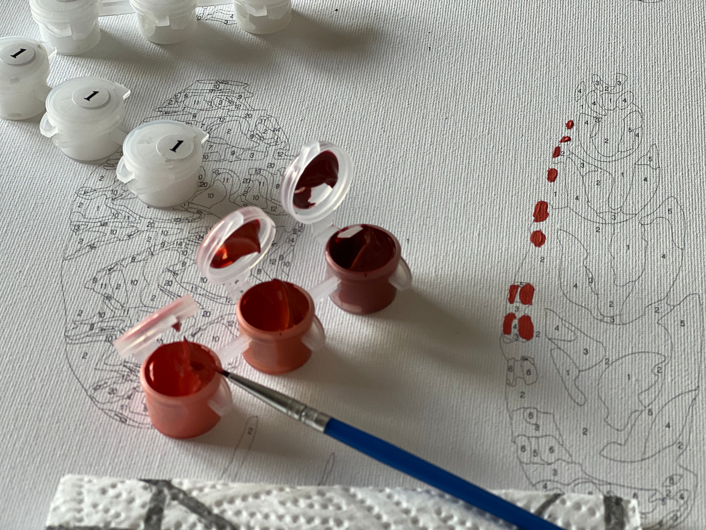 Paint by Numbers Gift Voucher