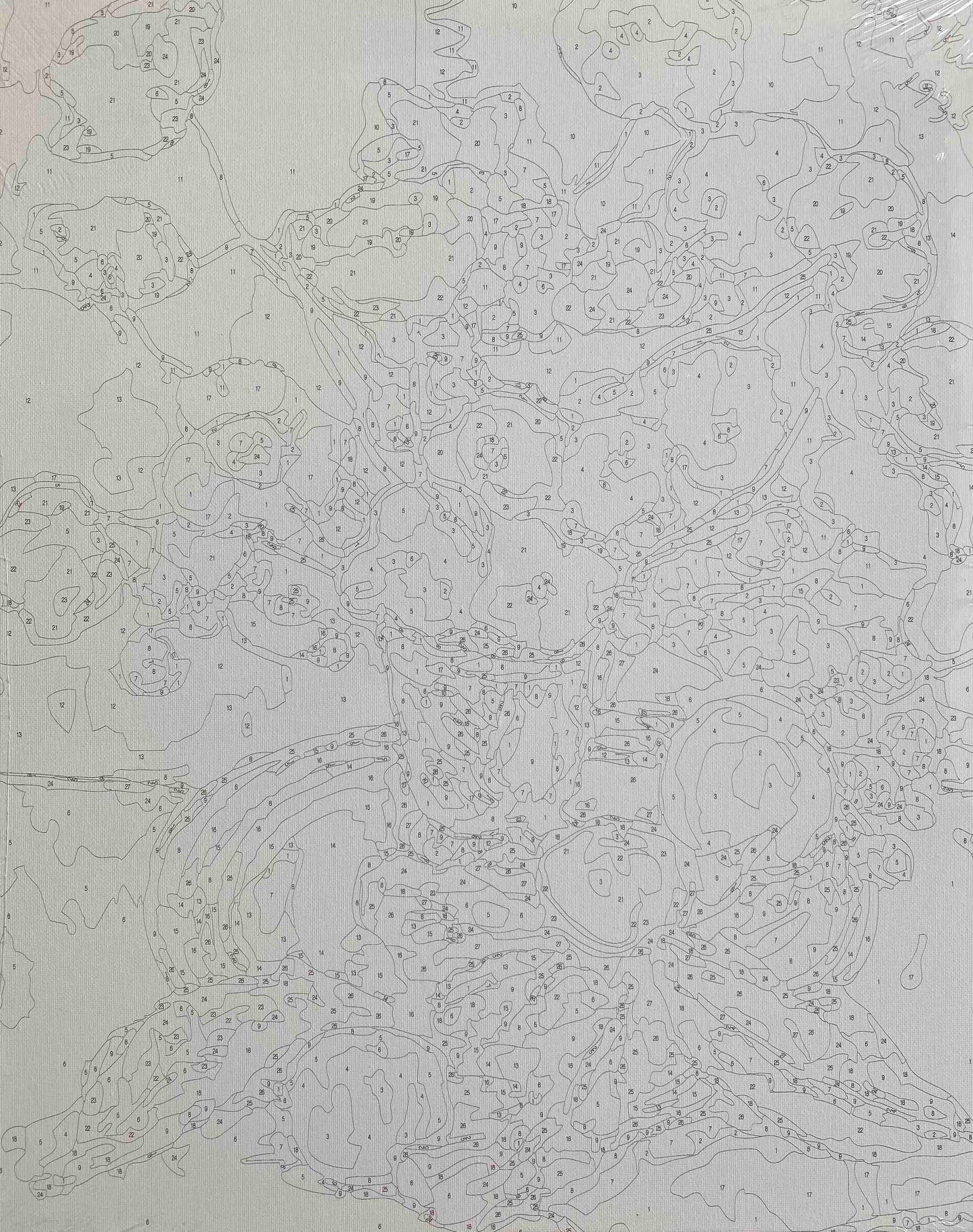 Still Life with Poppies and Fruit