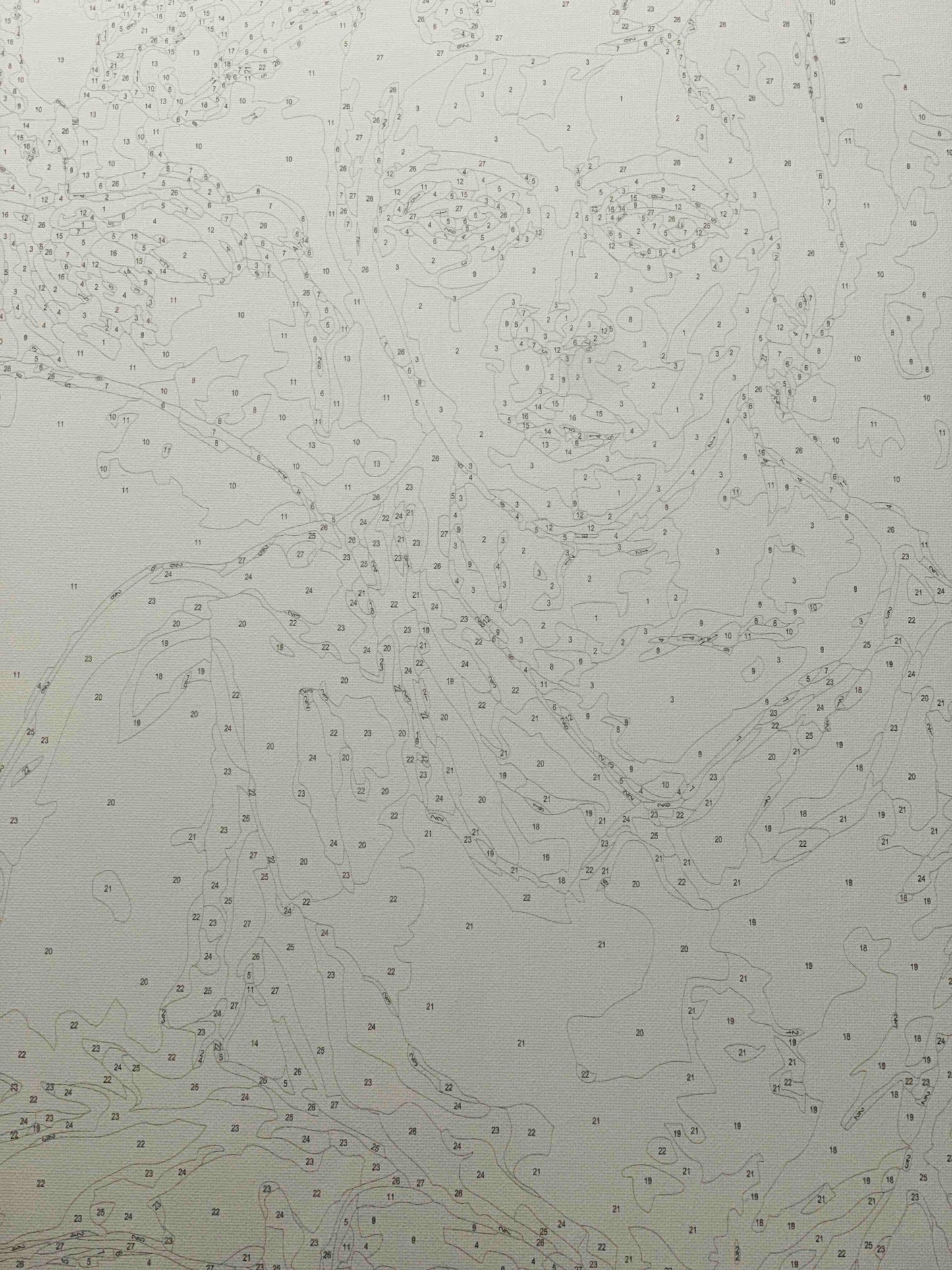 Portrait of an Indian Woman