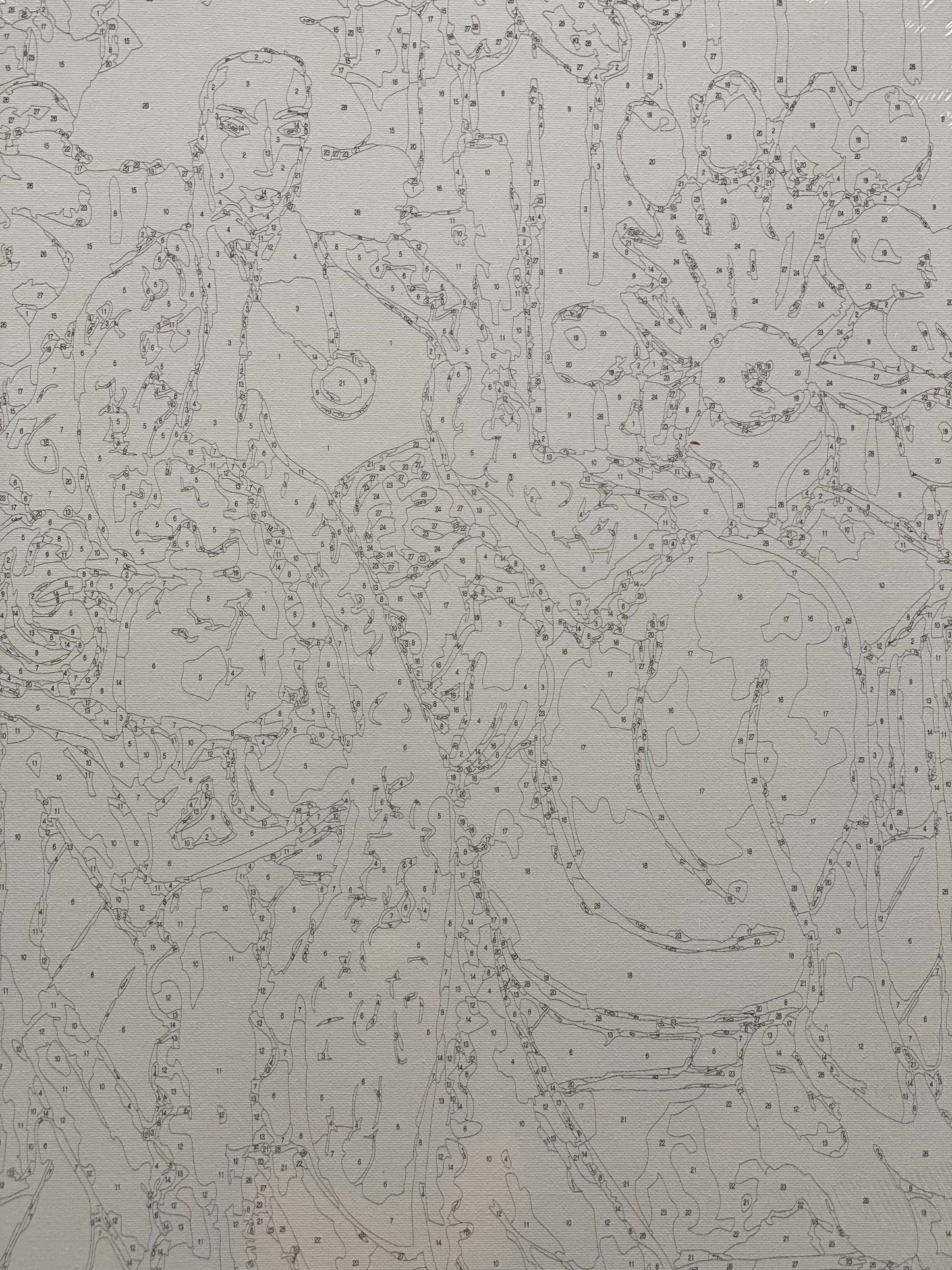 Matisse - Odalisque in Red Jacket