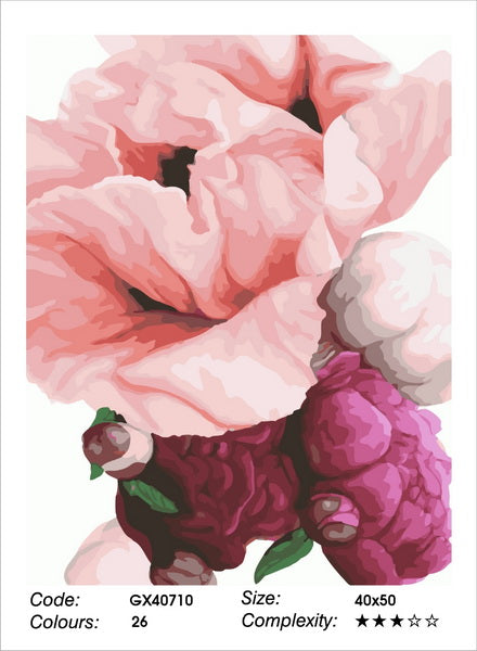 Poppies and Peonies