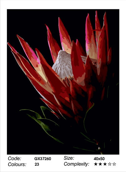 Protea