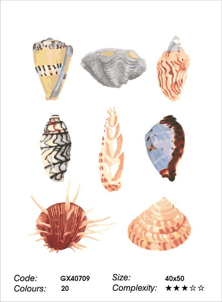 Shells