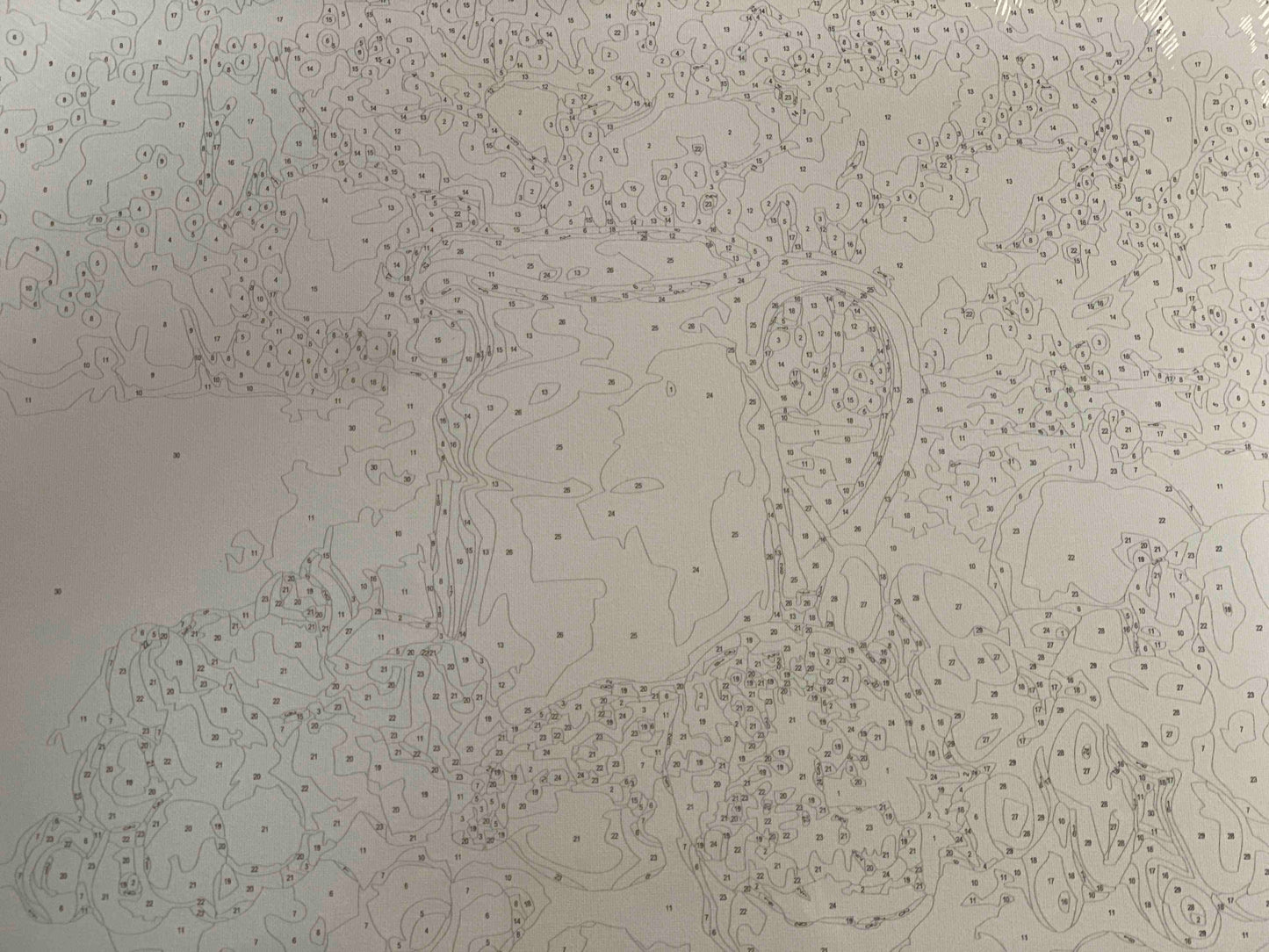 Still Life with Jug and Fruit