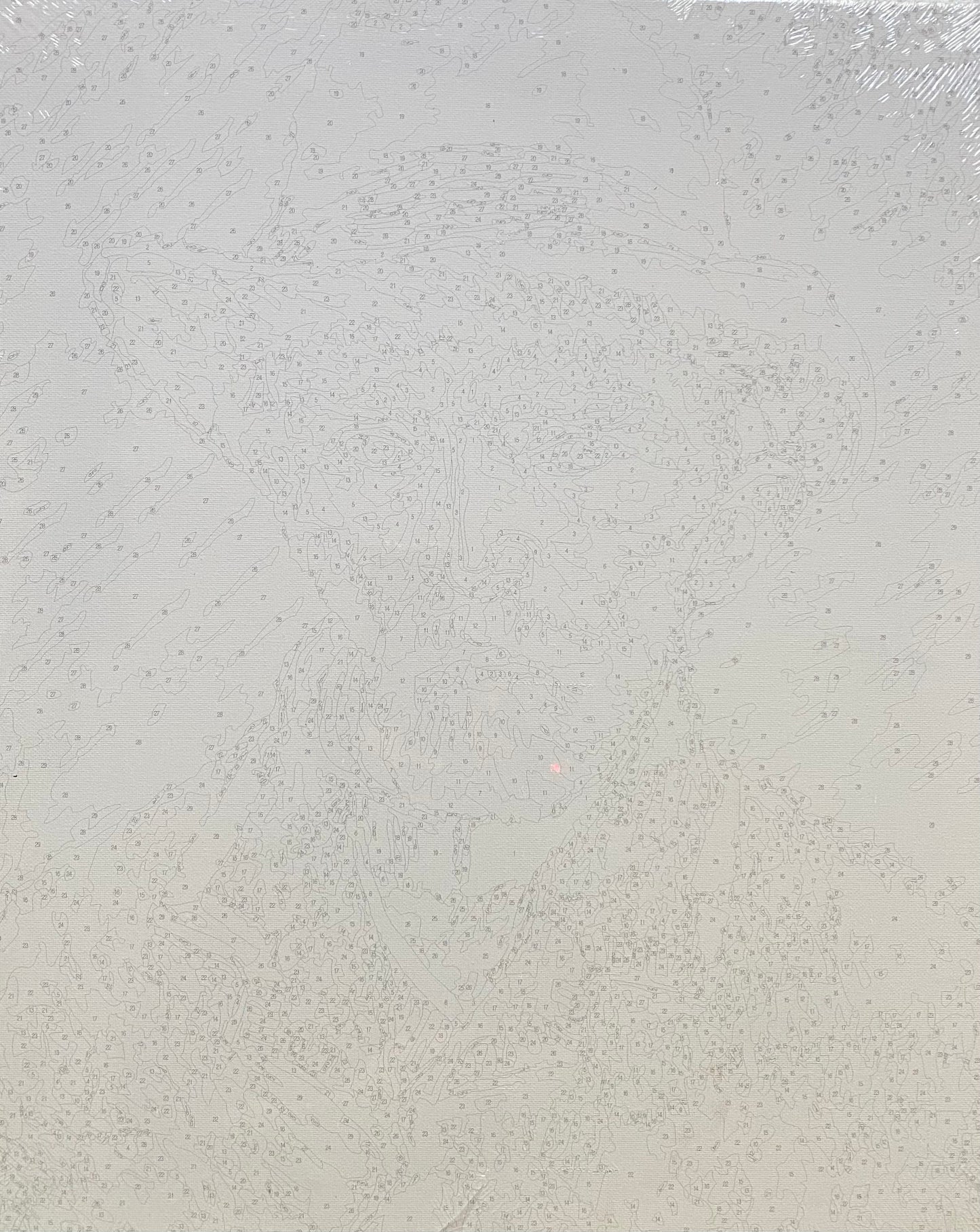 Van Gogh Self Portrait