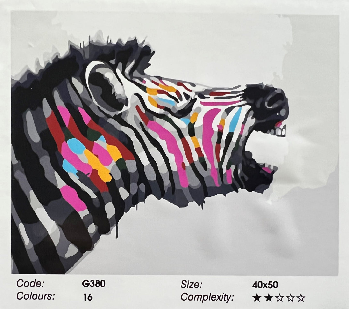 Colourful Zebra
