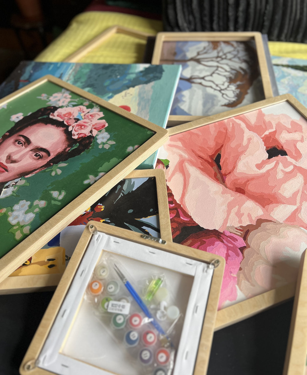 Frames Paint by Numbers