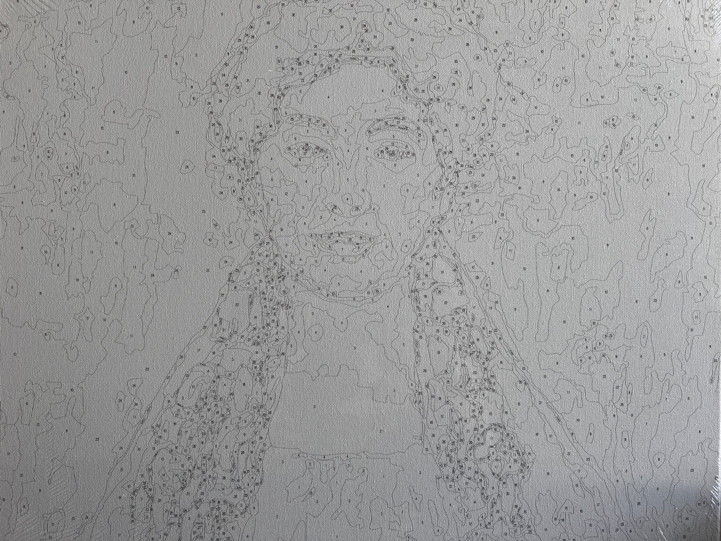 Portrait of Miss Lieser
