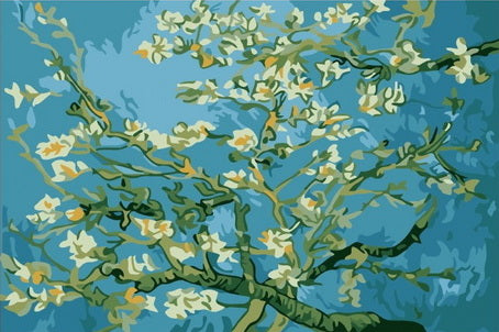 Almond Blossoms