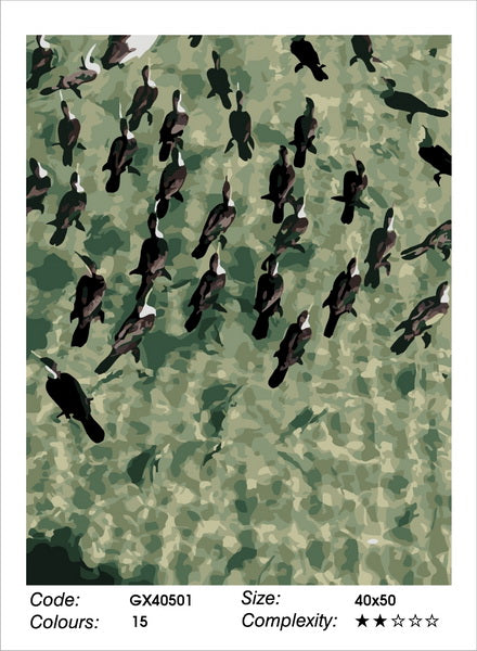 Birds