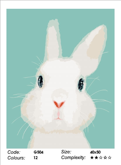 Bunny Rabbit