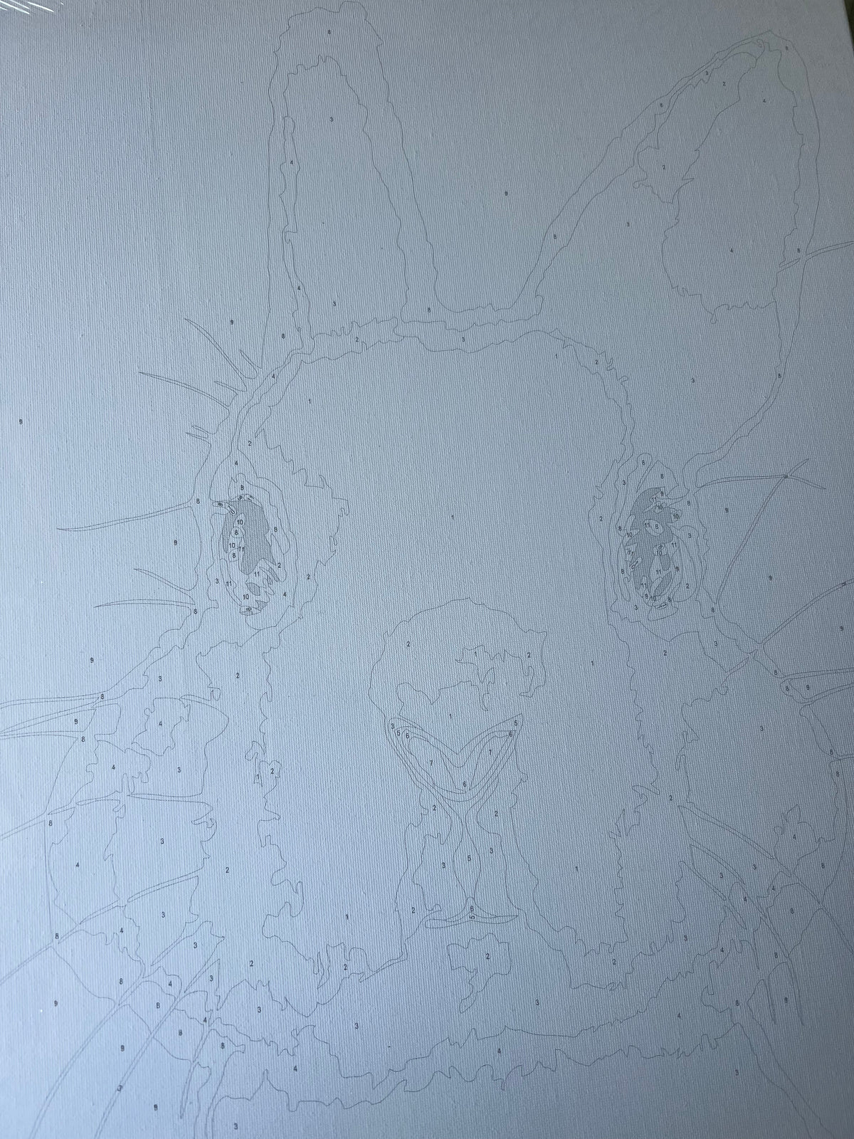 Paint By Numbers Rabbot Bunny Rabbit – Paint by Numbers