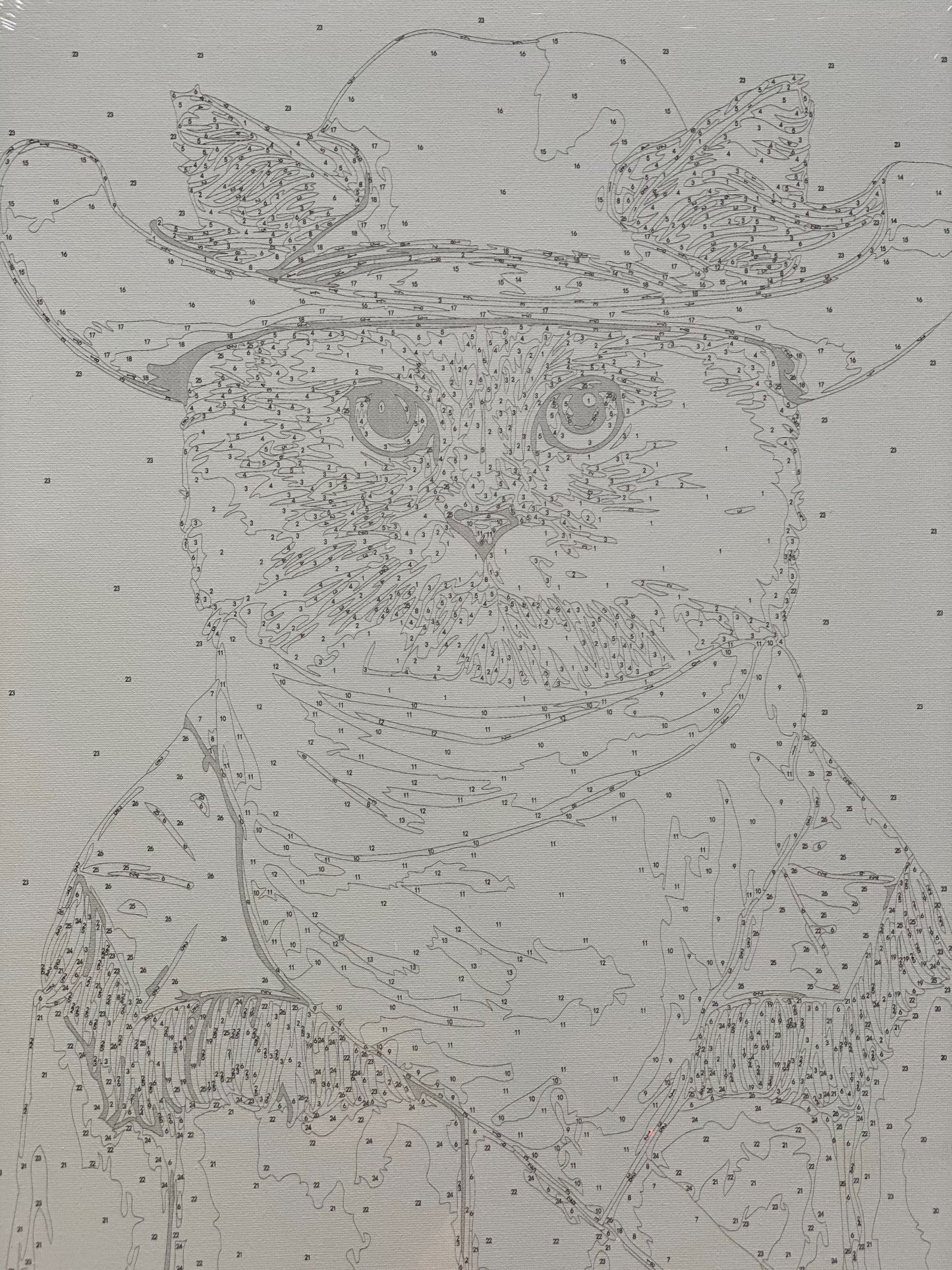 Cat in a Cowboy Hat