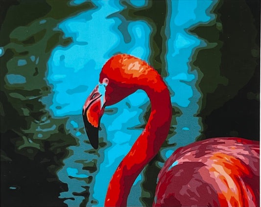 Flamingo