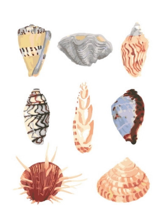 Shells