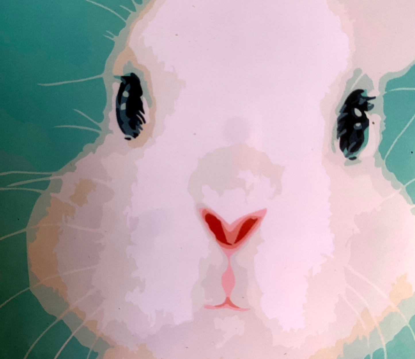 Bunny Rabbit