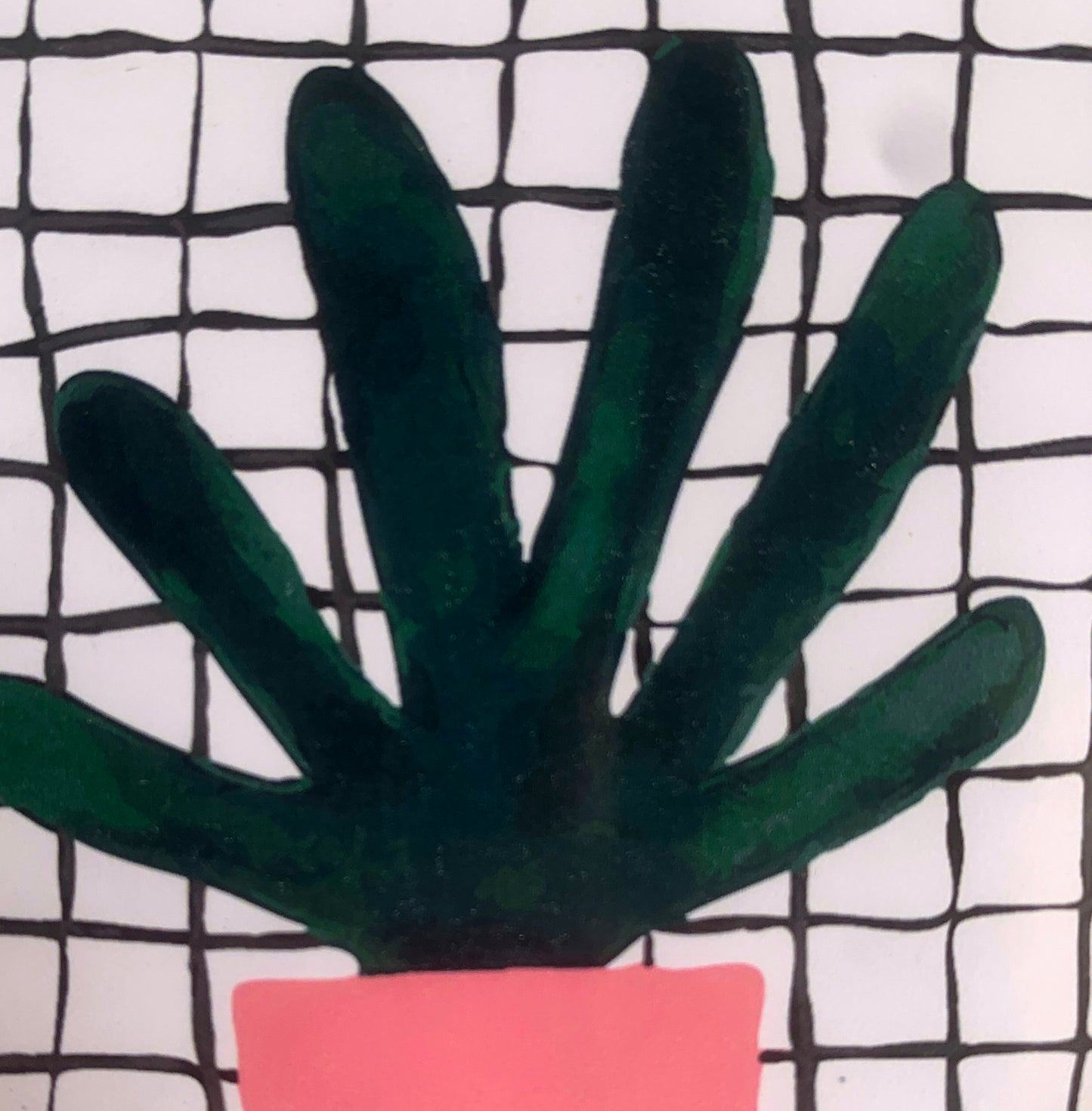 Pink Pot Plant
