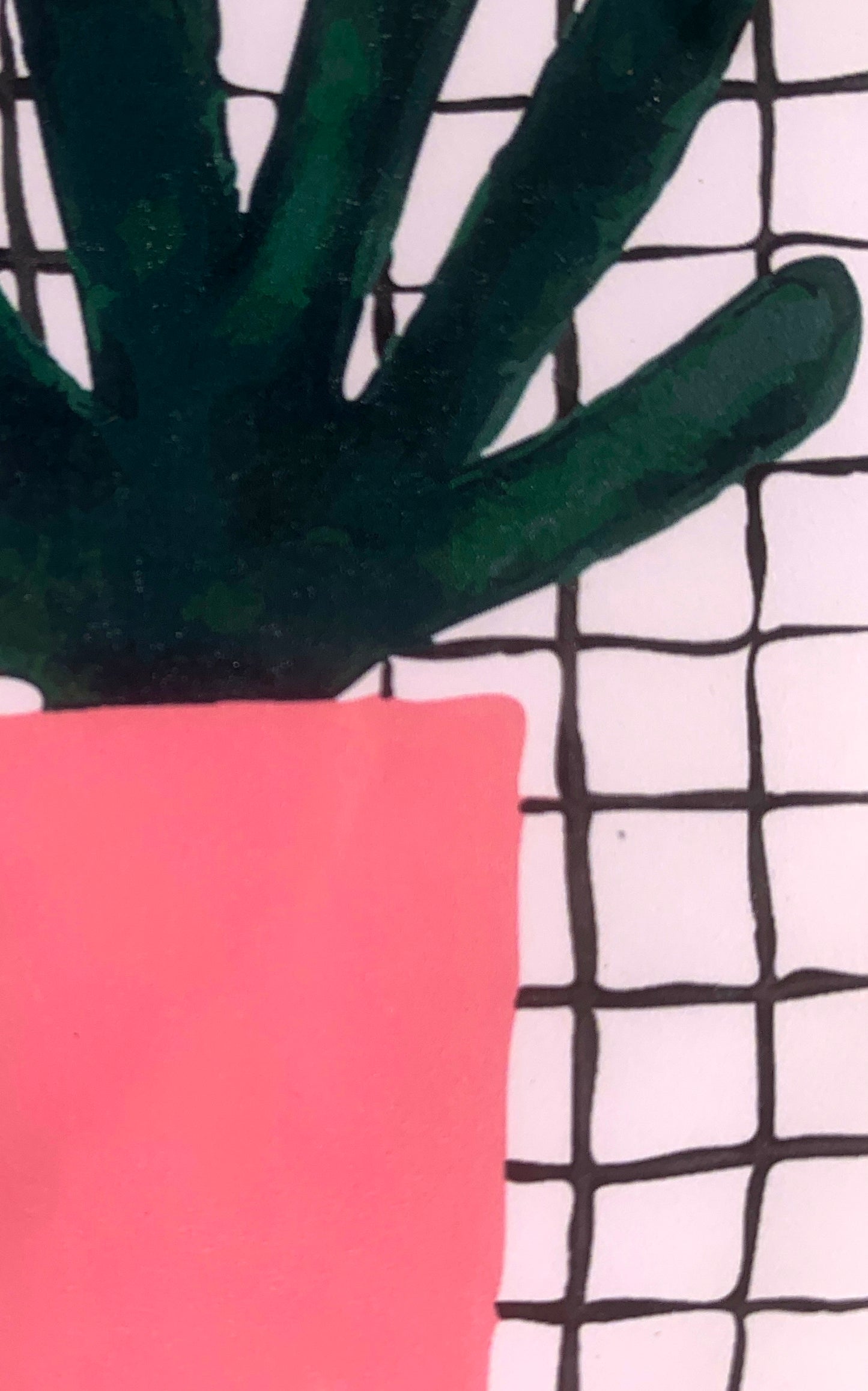Pink Pot Plant