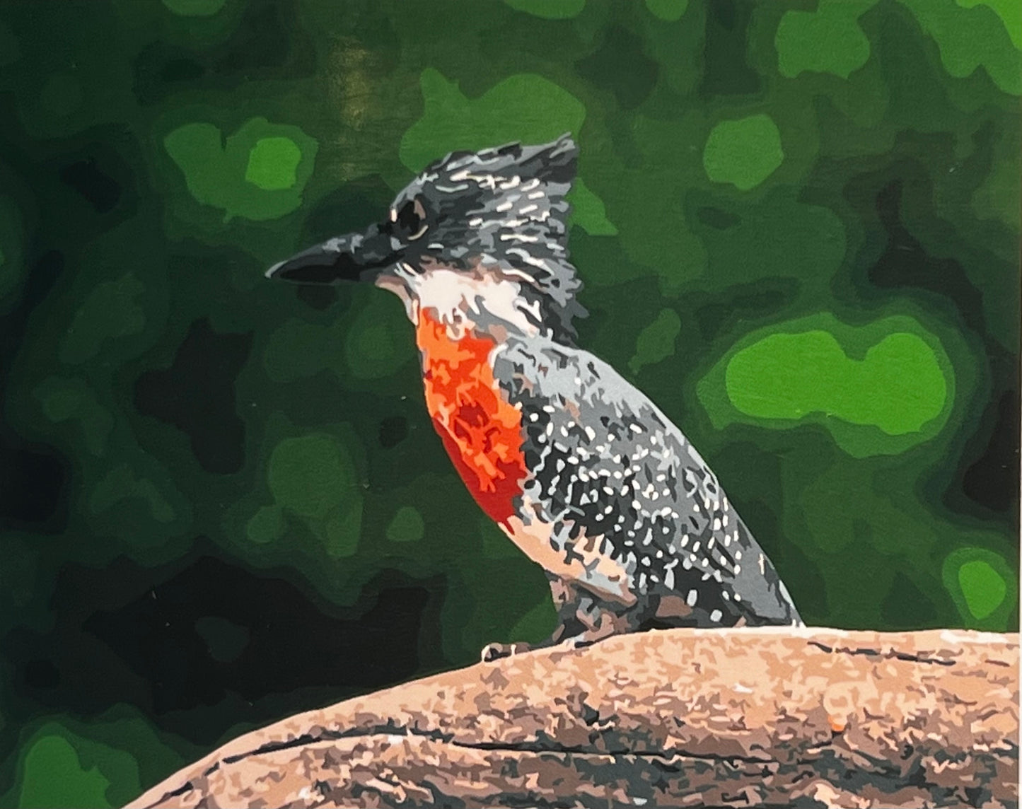 Giant Kingfisher