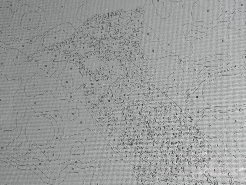 Giant Kingfisher Paint by Numbers