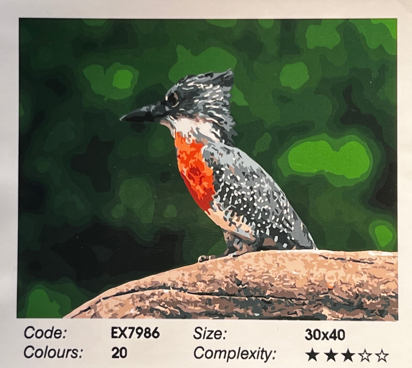 Giant Kingfisher