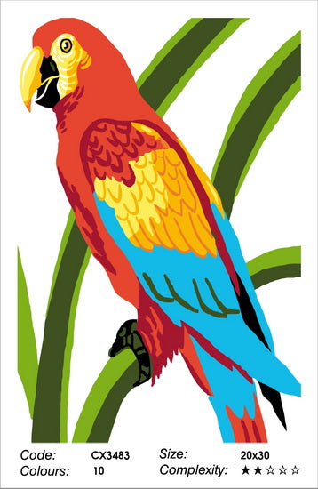 Pretty Parrot