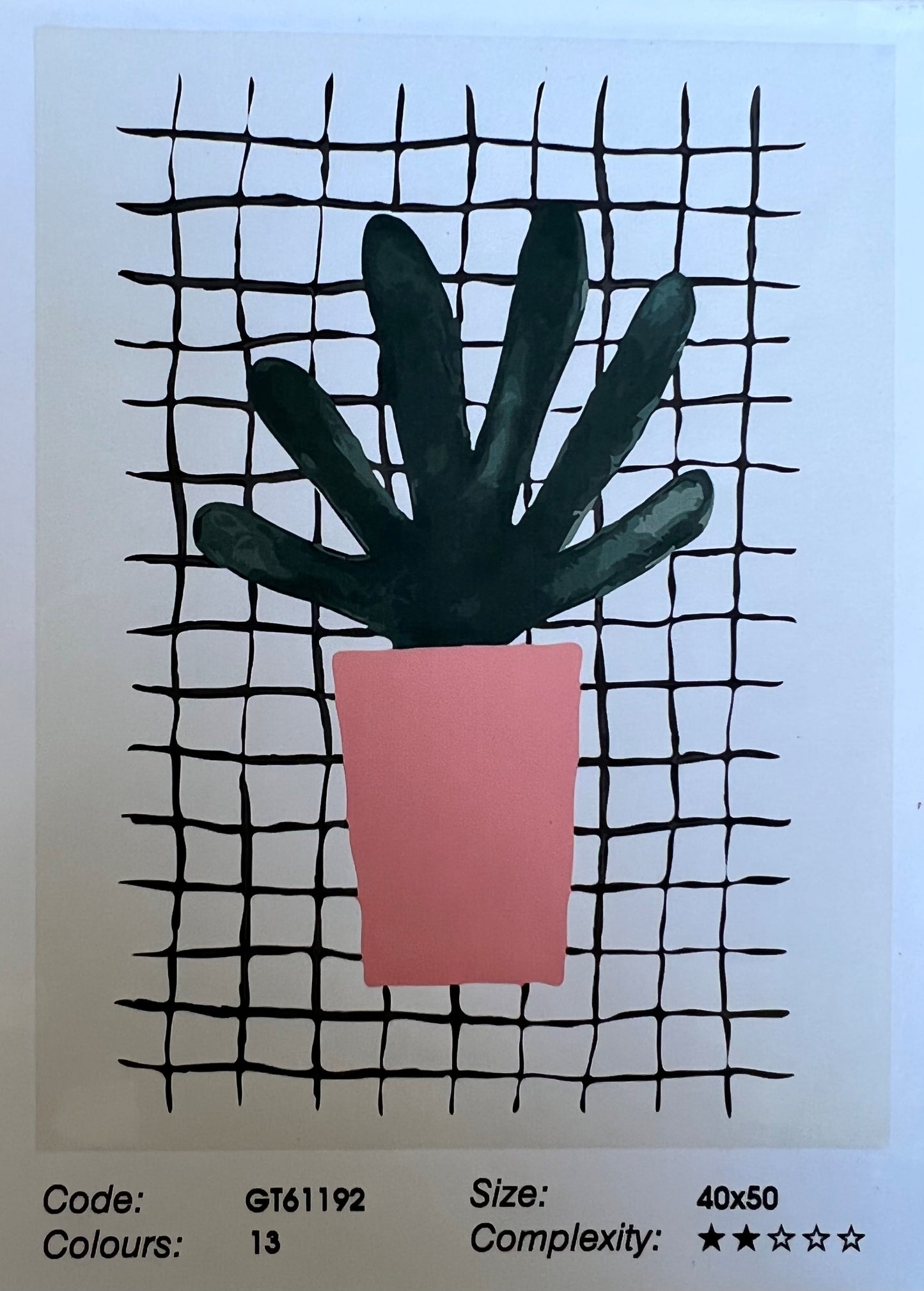 Pink Pot Plant