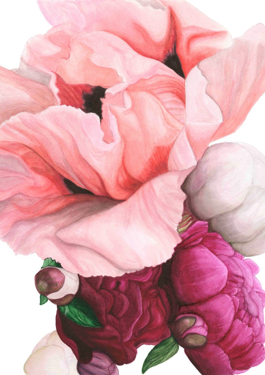 Poppies and Peonies