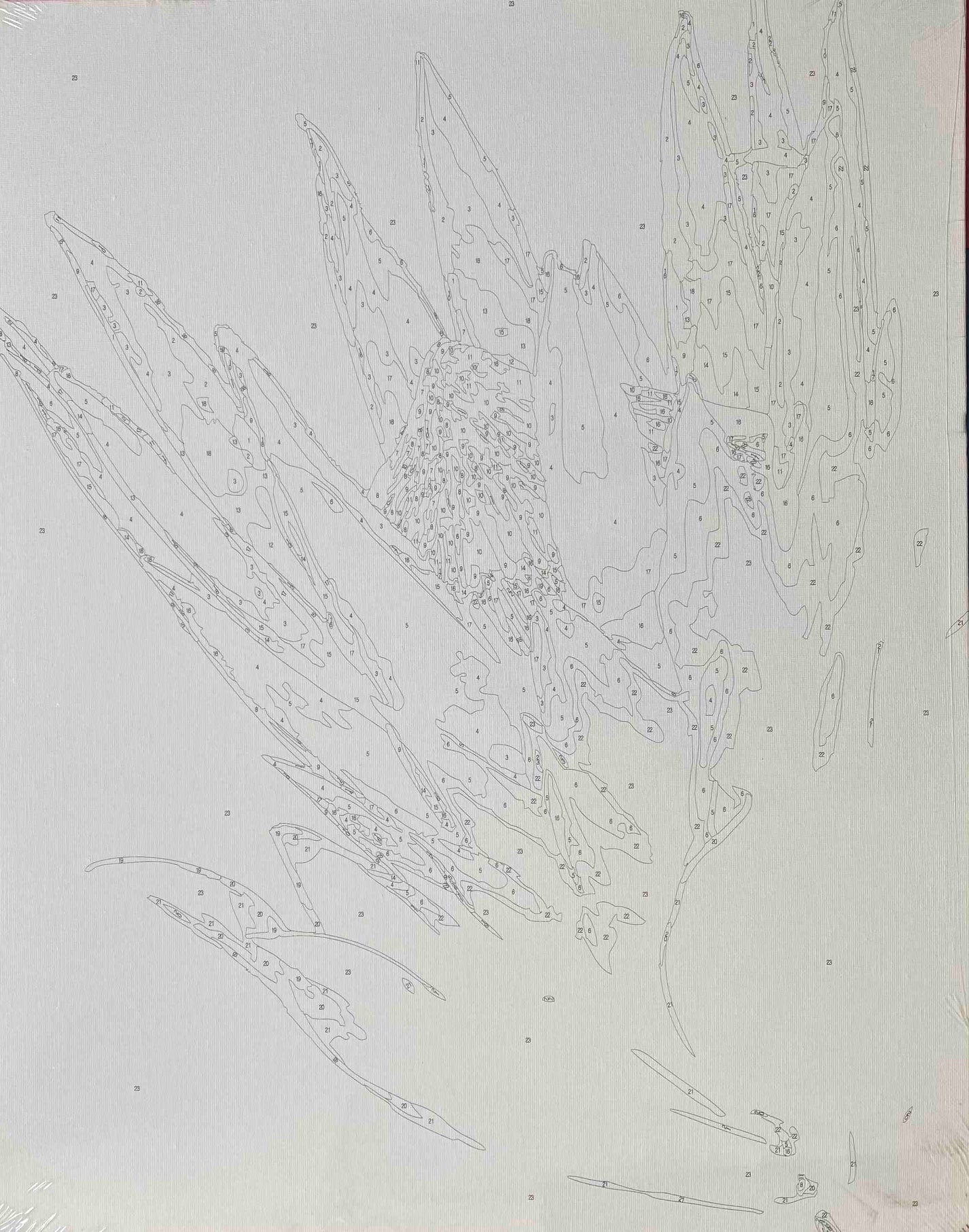 Protea Paint by Numbers