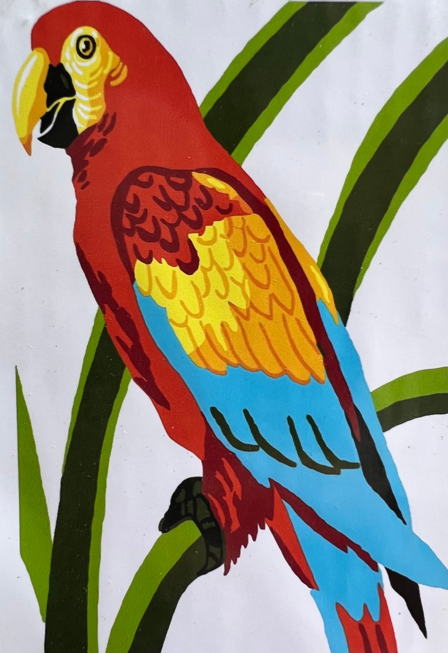 Pretty Parrot