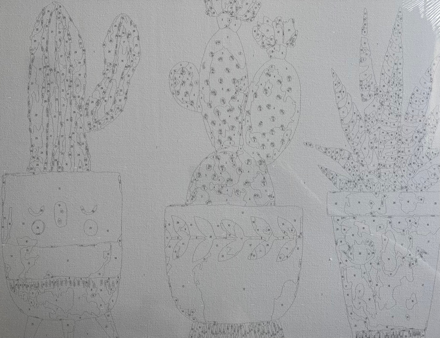 Pretty Pots