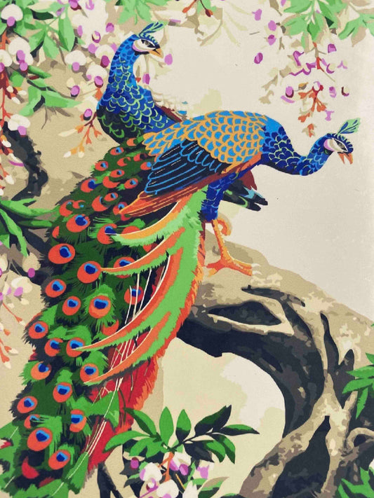 Proud Peacock