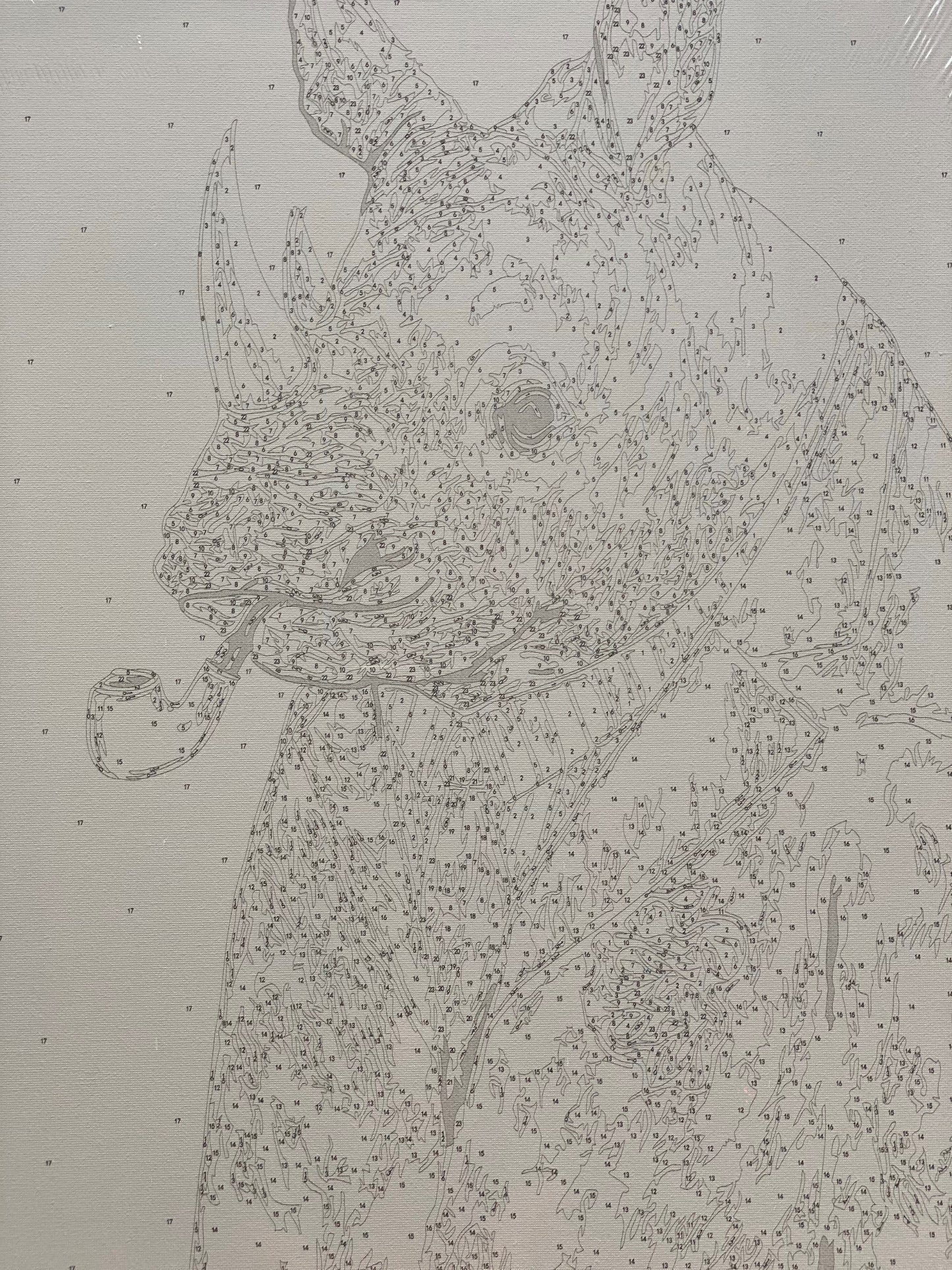Rhino