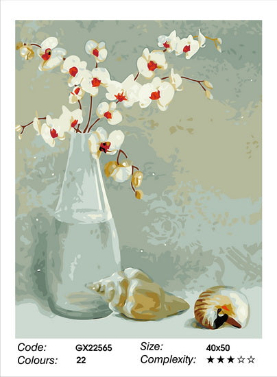 Still Life with Shells