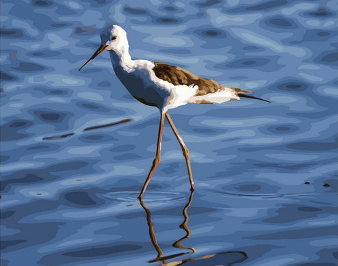 Walking on Water