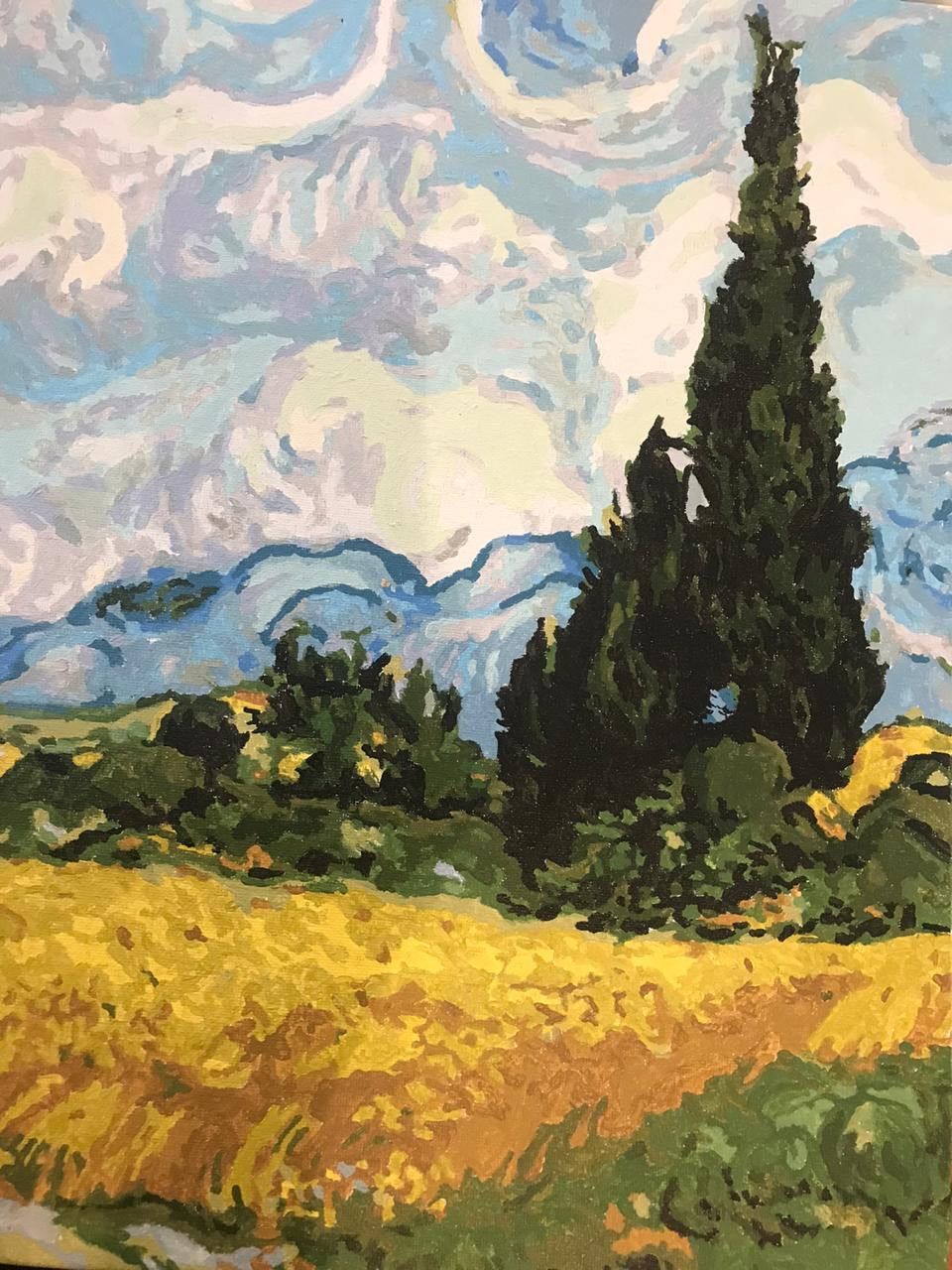 Wheatfields with Cypresses