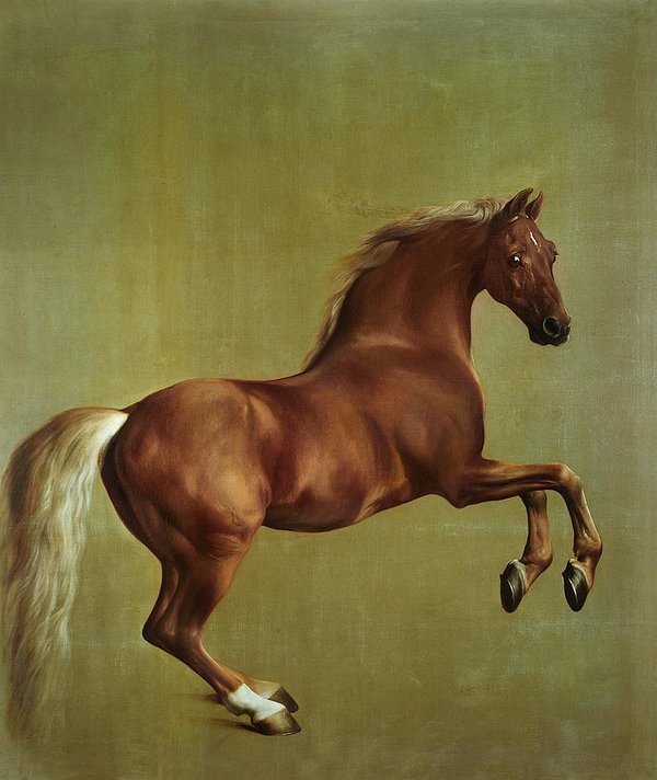 Whistlejacket