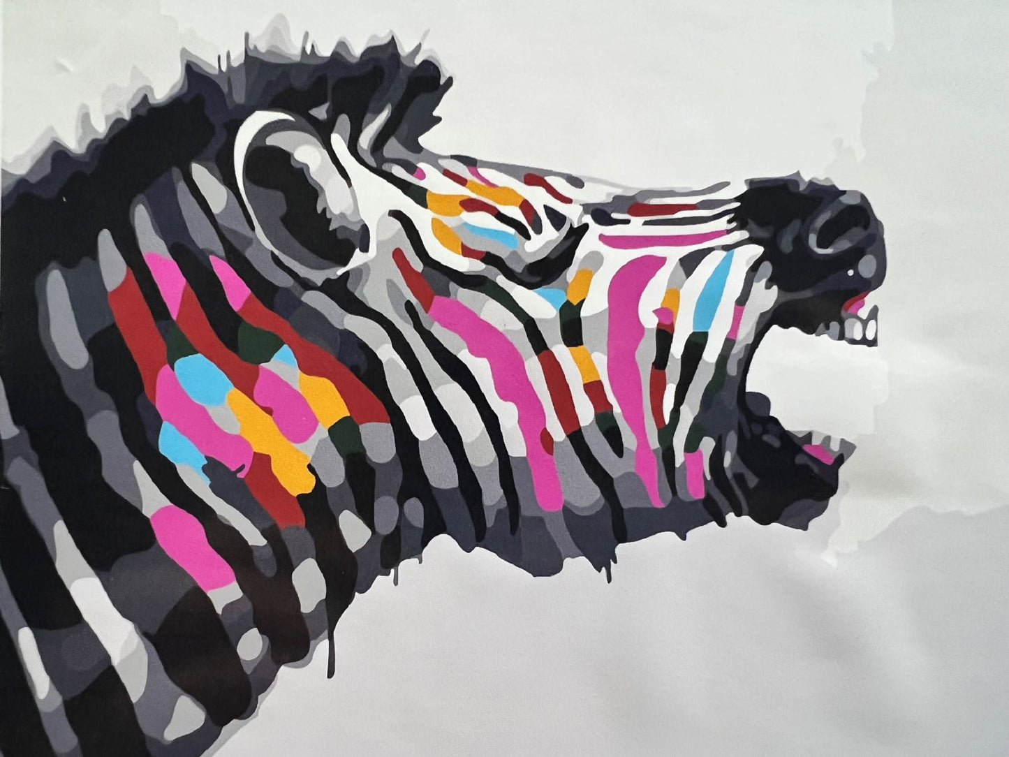 Colourful Zebra