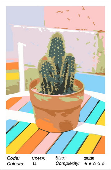 Colourful Cactus